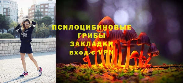 прущая мука Рославль