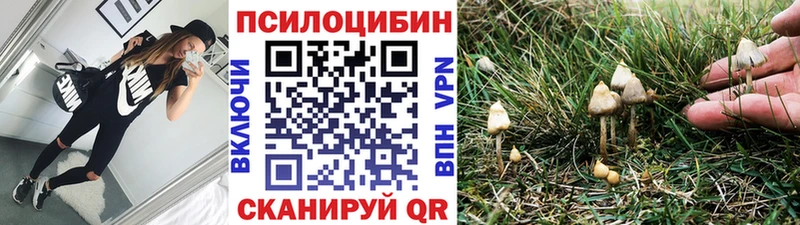 Псилоцибиновые грибы прущие грибы  Краснодар 