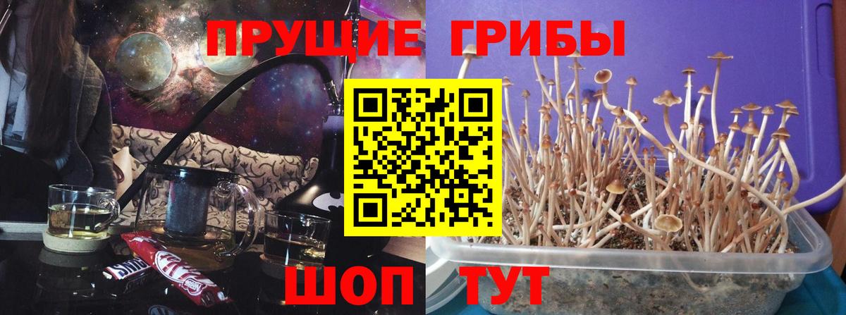 Псилоцибиновые грибы мухоморы Краснодар